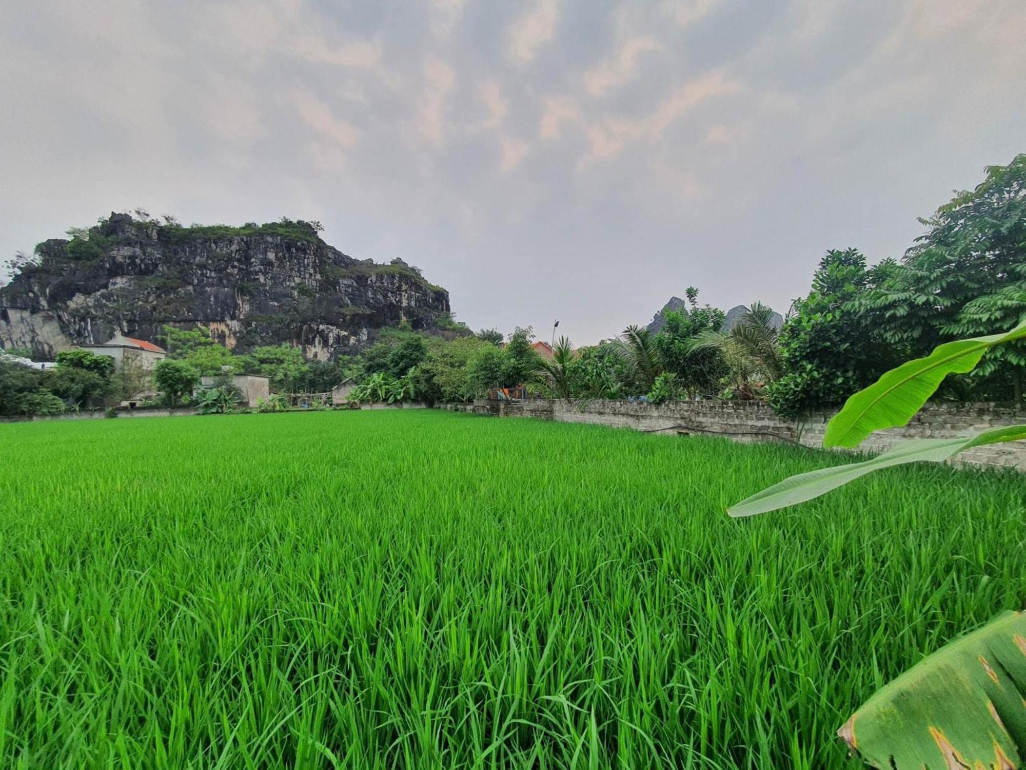 Trang An Garden Bungalow Ninh Binh Zewnętrze zdjęcie